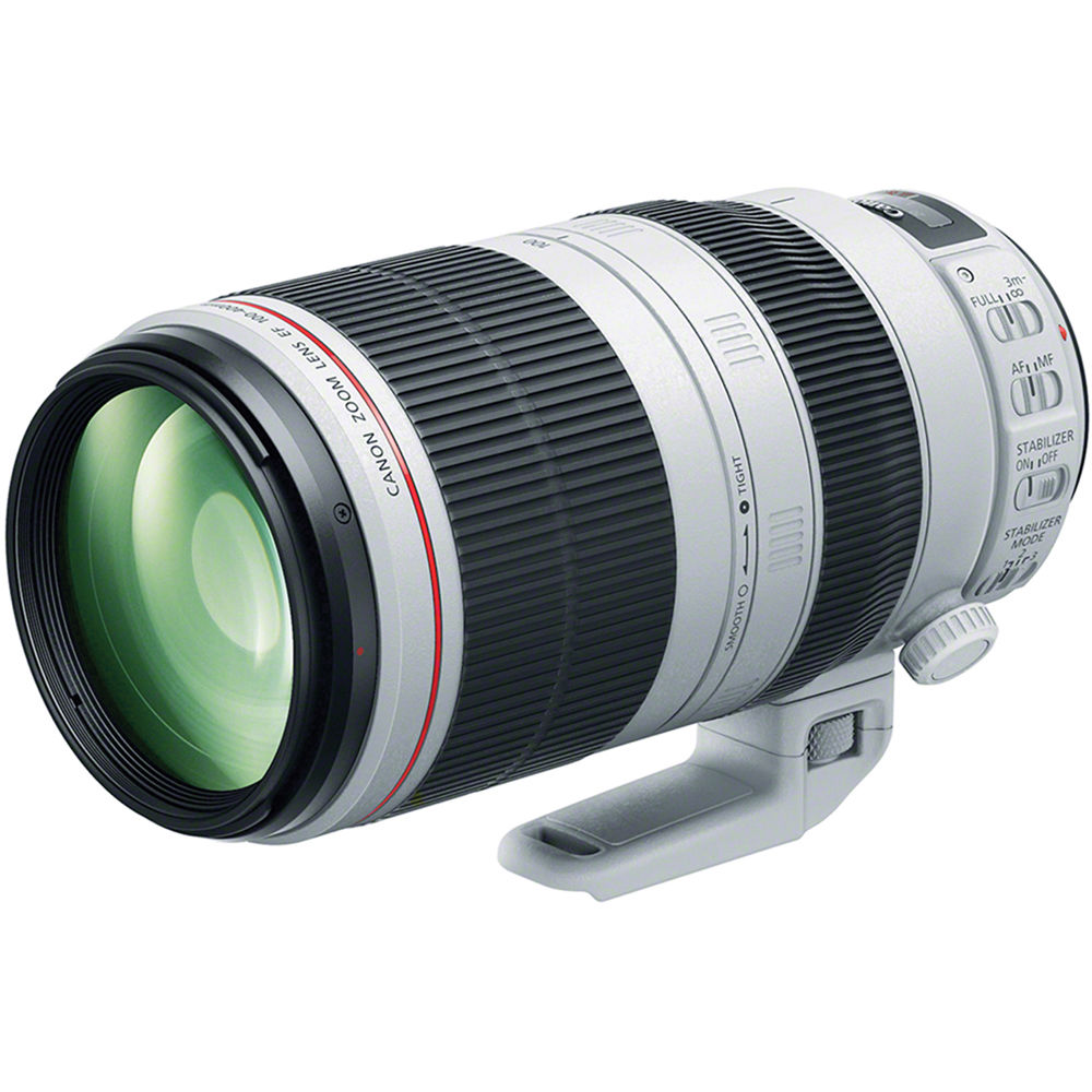 d1377cec437ebfdad3c1cbe24e486590.jpg Canon EF 100-400mm f/4.5-5.6L IS II USM Lens - Imagen 1