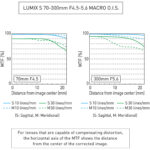 Panasonic LUMIX S 70-300mm f/4.5-5.6 MACRO O.I.S. Lente - Imagen 6
