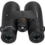 Prismáticos Celestron 10x50 Nature DX - Imagen 5