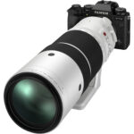 Lente FUJIFILM XF 150-600 mm f/5.6-8 R LM OIS WR - Imagen 13