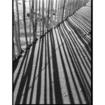 Kodak Professional Tri-X 400 Película negativa en blanco y negro (120 rollos de película, paquete de 5) - Imagen 2
