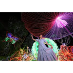Canon RF 15-30mm f/4.5-6.3 IS STM Lens - Imagen 9