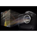 Canon EOS R3 Mirrorless Camera - Imagen 4