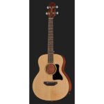 Harley Benton GS-Travel-E Bass Spruce Set - Imagen 2