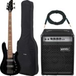 Harley Benton B-550 Black Prog w/Warwick