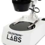 Microscopio estéreo CELESTRON LABS S10-60 - Imagen 3