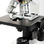 Microscopio binocular compuesto CELESTRON LABS CB2000C con platina mecánica de 5,5 x 5,5" - Imagen 5