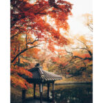 Kodak Professional Ektar 100 Película negativa de color (120 rollos de película, paquete de 5) - Imagen 4