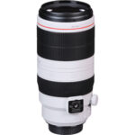 Canon EF 100-400mm f/4.5-5.6L IS II USM Lens - Imagen 13