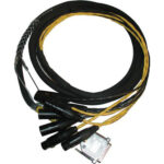 Avid DB25-XLR M+F AES/EBU DigiSnake - Serpiente de E/S digital (4 pies)