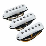 Fender Custom Texas Special Strat Set - Imagen 3