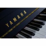 Yamaha b2 PE - Imagen 4
