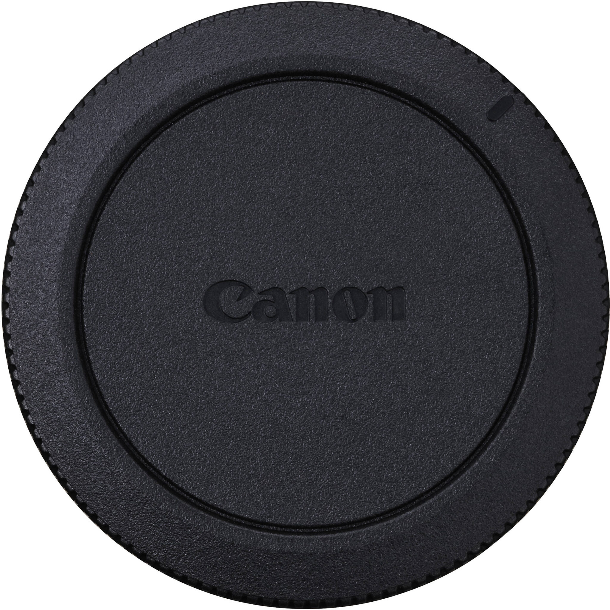 f091d3234e118f0a0646adff45a6fa42.jpg Canon R-F-5 Camera Cover - Imagen 1
