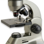 Kit de microscopio biológico y adaptador universal para teléfonos inteligentes Carson MS-040 - Imagen 3