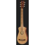 Harley Benton Traveler-E-Steel - Imagen 2