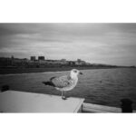 Cámara de película Kodak Snapic A1 de 35 mm (gris rinoceronte) - Imagen 13