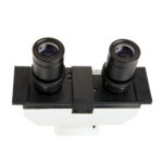 Microscopio binocular compuesto Celestron CB1000CF 40-1000x - Imagen 6