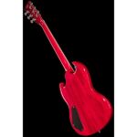 Harley Benton DC-Custom II Cherry Set - Imagen 11