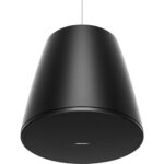 Bose Professional DesignMax DM10P-Sub 300W 10" subwoofer pasivo (negro) - Imagen 4