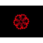 American DJ Focus Spot 5Z 200W LED Moving Head - Imagen 5