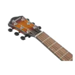 Ibanez AEWC400-AMS - Imagen 6